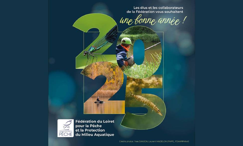 Bonne année à tous !